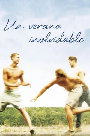 Poster Un verano inolvidable 2014