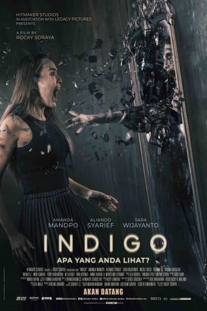 Poster Indigo 2023