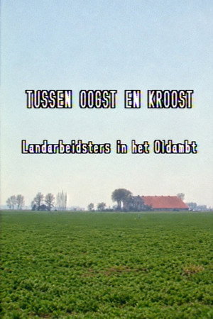 Tussen oogst en kroost: landarbeidsters in het Oldambt