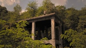 Journeys in Japan: 12×27