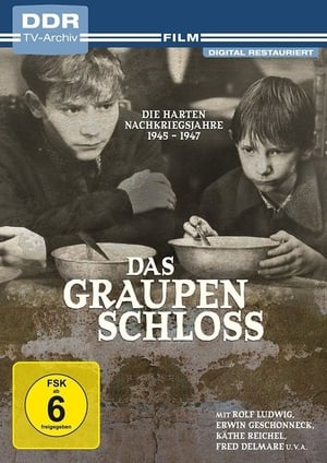 Poster Das Graupenschloß (1982)