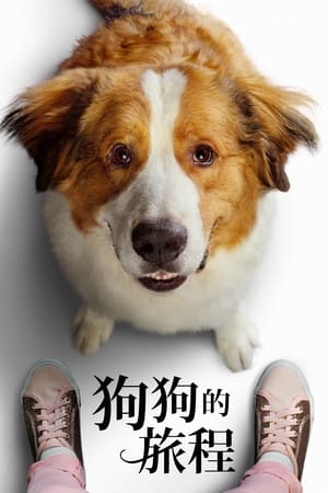 一条狗的使命2 (2019)