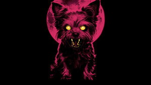 The Yorkie Werewolf