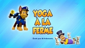 Yoga à la ferme