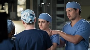 Grey’s Anatomy: Stagione 14 – Episodio 19