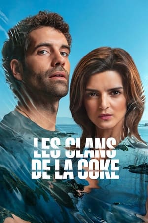 Les Clans de la coke movie poster