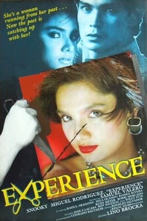 Poster di Experience