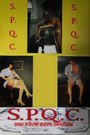 Image S.P.Q.C. Sono Porche Queste Cameriere