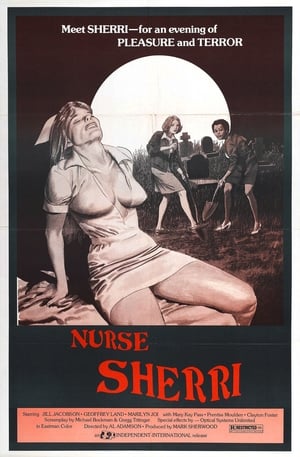 Poster Nurse Sherri (1978)