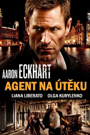 Poster Agent na útěku 2012