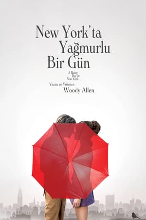 Poster New York'ta Yağmurlu Bir Gün 2019