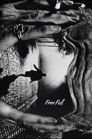 Free Fall poster