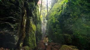 El jardín secreto