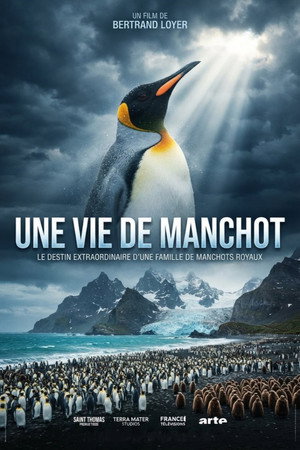 Une vie de manchot