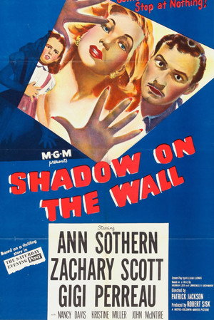 Shadow on the Wall 13