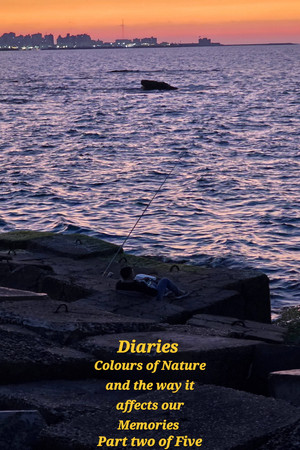 Diaries: Colours of Nature and the Way It Affects Our Memories. (2026)