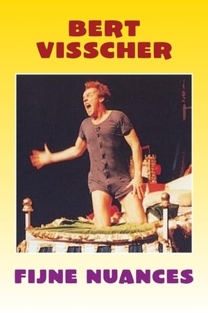 Poster Bert Visscher: Fijne Nuances (1996)