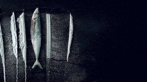 Turn of the Tide The Surreal Story of Rabo de Peixe (2025) อาชญากรน้ำเค็ม เปิดเรื่องจริงสุดเหลือเชื่อ