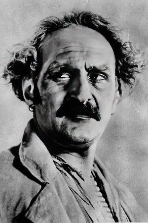 Henri Baudin portrait