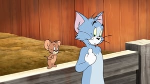 Tom et Jerry - Les meilleures aventures autour du monde film complet