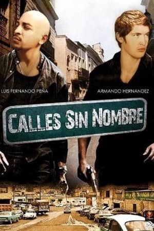 Poster Calles sin nombre 2007