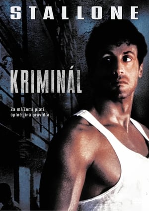 Poster Kriminál 1989