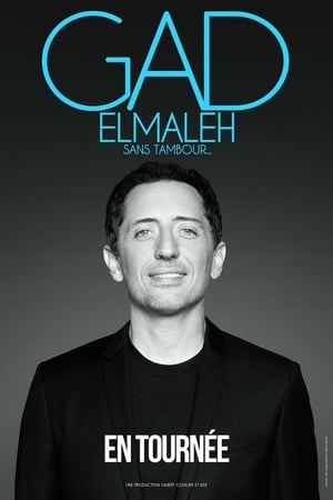 Poster Gad Elmaleh - Sans tambour (2014)