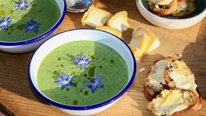 Wasabi & Watercress