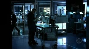 CSI – Den Tätern auf der Spur: 6×11