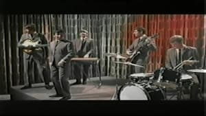 The Animals - Live Performances 1964-1998