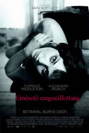 Poster Emésztő megszállottság 2013