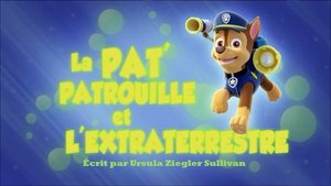 Paw Patrol Helfer auf vier Pfoten: 2×1