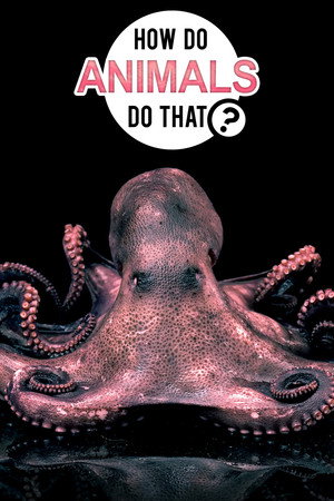 How Do Animals Do That?