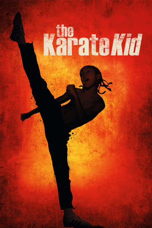 Poster Karateci Çocuk 2010