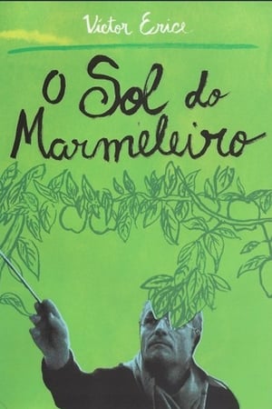 Poster O Sol do Marmeleiro 1992