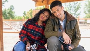 مشاهدة فيلم A Picture Perfect Holiday 2021 مترجم