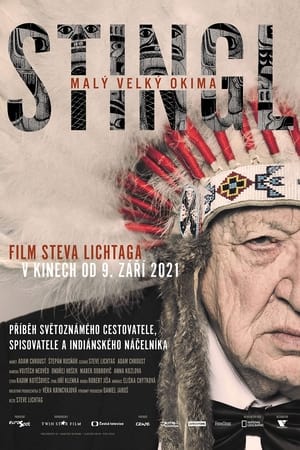 Poster Stingl - Little Big Okima 2021