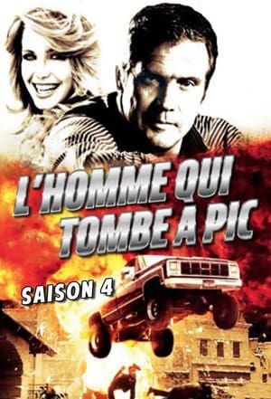 L'homme qui tombe à pic - poster n°2