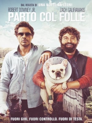 Poster di Parto col folle