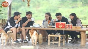 Back to Field: 2×13