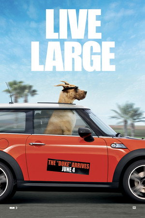 Görsel #259783