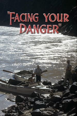 Facing Your Danger poster