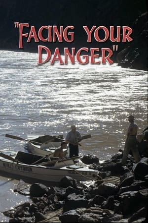 Poster Facing Your Danger 1946