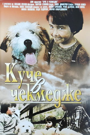 A Dog in a Drawer 7