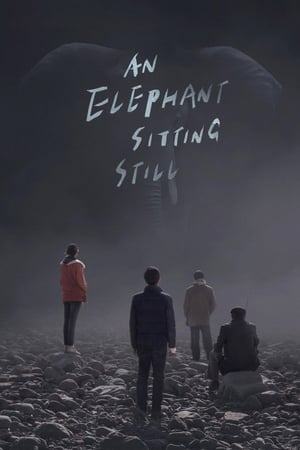 Poster An Elephant Sitting Still 2018