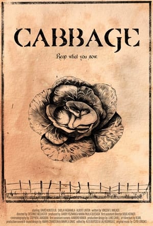 Image Cabbage