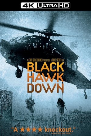 poster Black Hawk Down