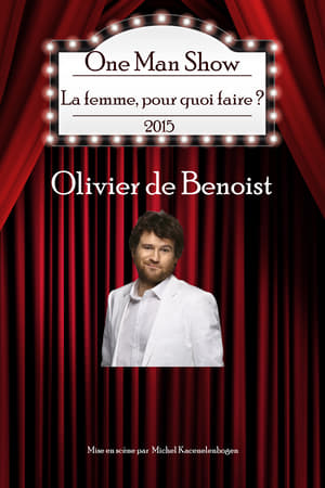 Poster Olivier de Benoist - La Femme pourquoi faire ? (2015)