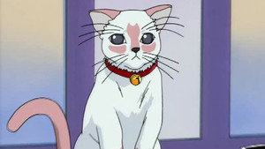 Tokio Mew Mew Season 2: A Forbidden Love? I Can Understand Cats ~nya!