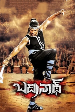 బద్రీనాధ్ (2011)